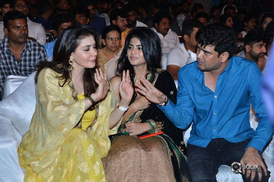 Chal-Mohan-Ranga-Pre-Release-Function-Photos